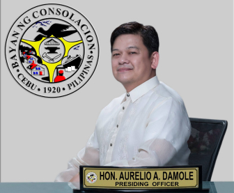 Vice Mayor